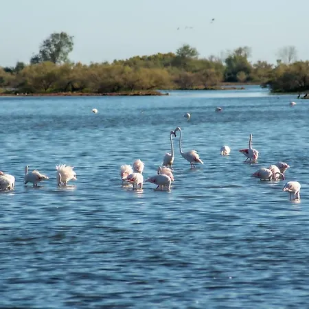 Ξενοδοχείο Caneo Fossalon