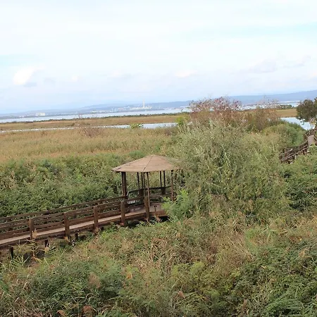 Caneo