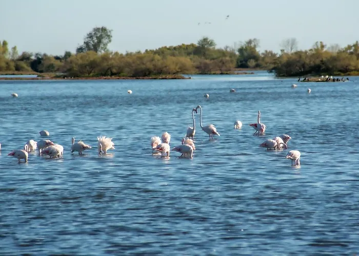 Hotel Caneo Fossalon